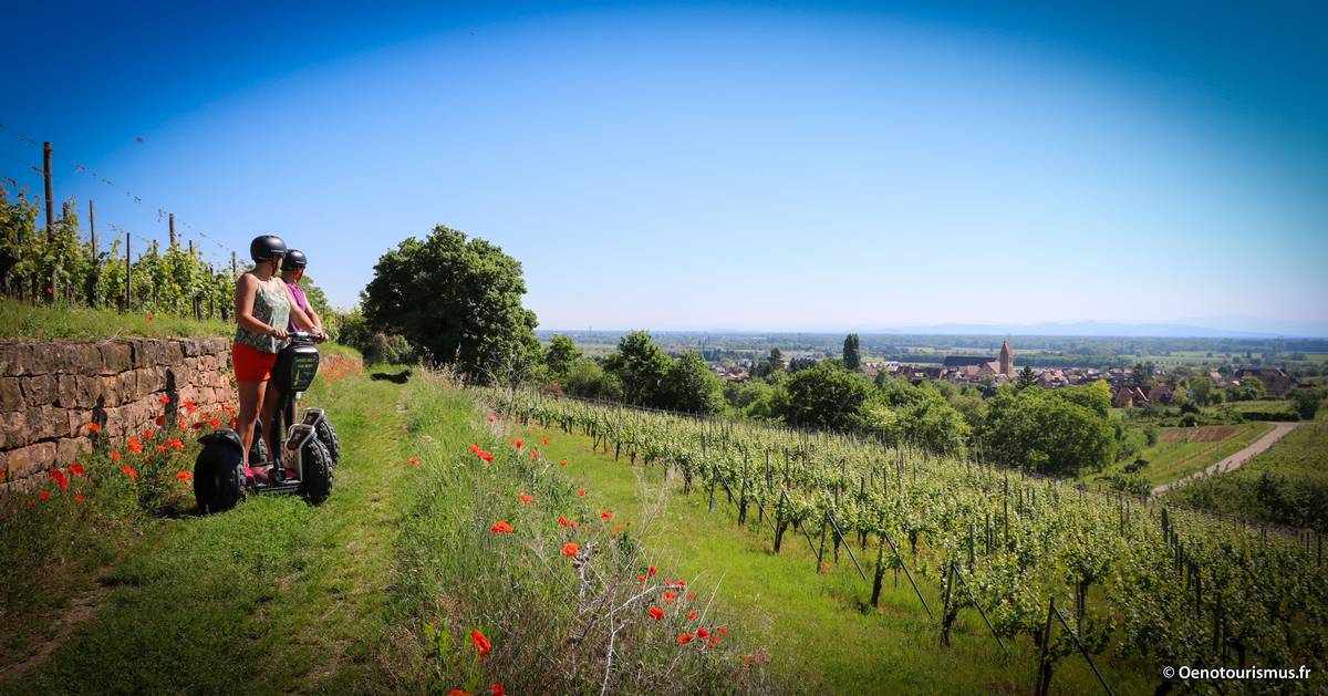Segway Alsace – Gyropode by Oenotourismus