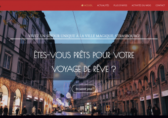 Intégration site Web avec WordPress